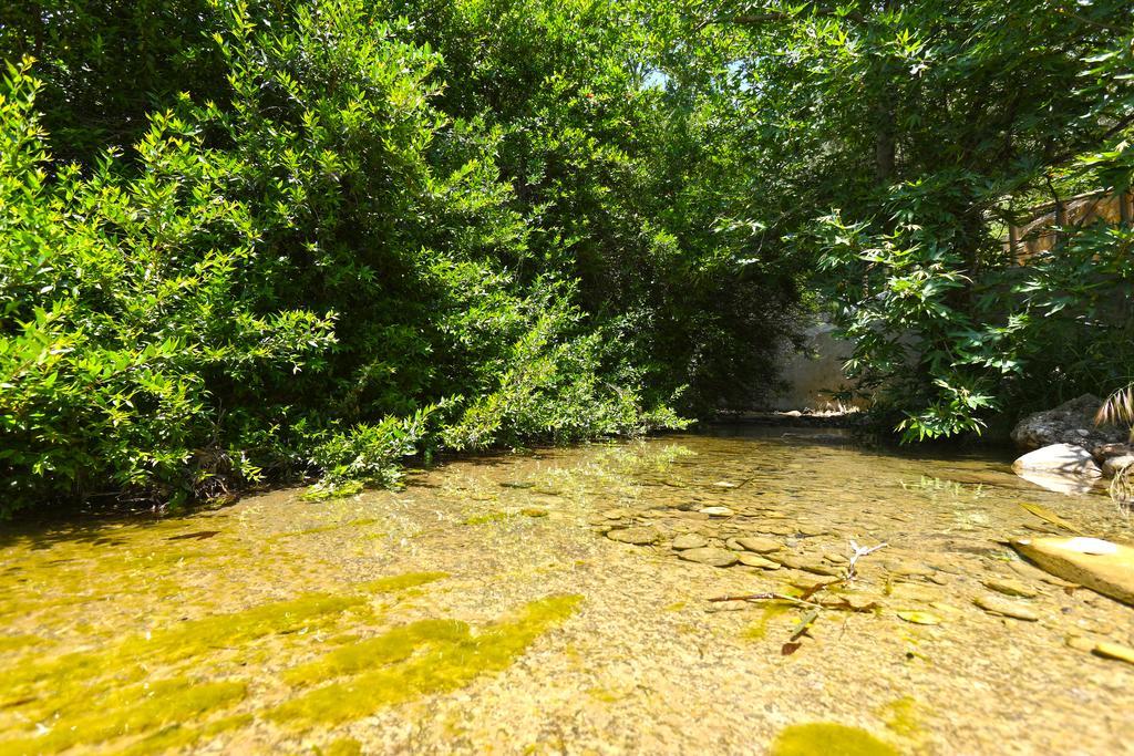 الشقق الفندقية Makrýgialosفي  Aspros Potamos المظهر الخارجي الصورة